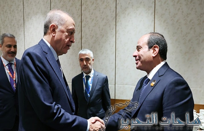 اردوغان يتسلم اوراق اعتماد السفير المصري الجديد في انقرة