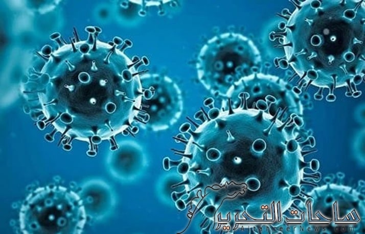 اكتشاف 8 فيروسات في جزيرة استوائية