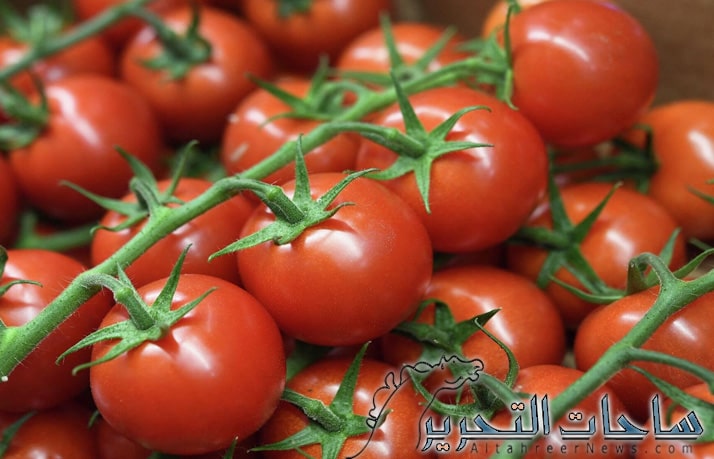 الزراعة العراقية تعلن فتح استيراد محصول الطماطم