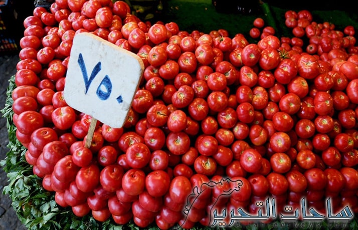 الزراعة في العراق تواجه انتكاسة كبيره .. والمزارعون اتلفوا الطماطم للاحتجاج