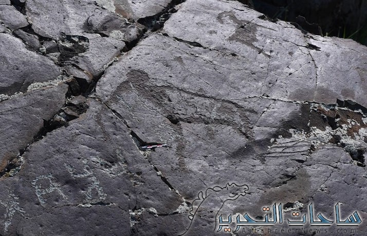 علماء يكتشفون لوحات فنية منحوتة على الصخر